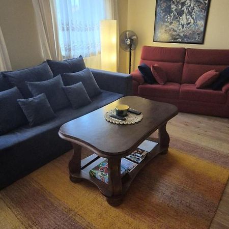 Apartament Alcatraz Z Kominkiem קאמיינה גורה מראה חיצוני תמונה