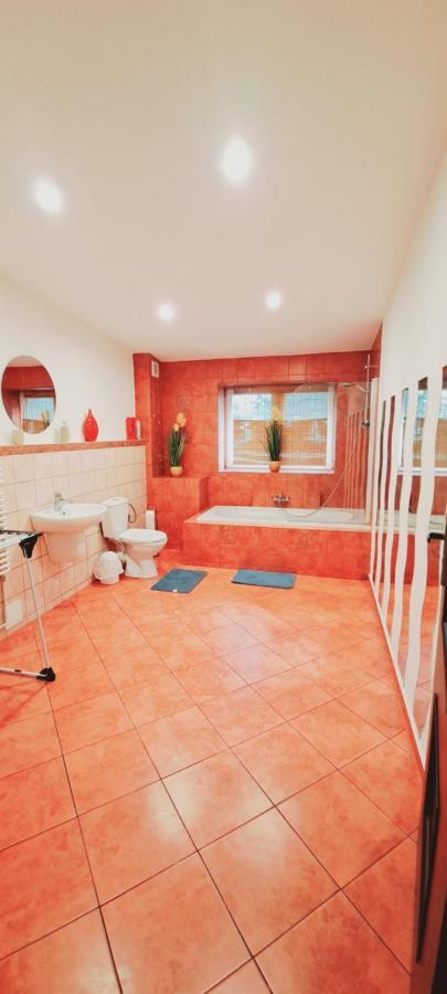 Apartament Alcatraz Z Kominkiem קאמיינה גורה מראה חיצוני תמונה